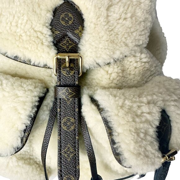 Louis Vuitton LV SKI Backpack - Picture 9 of 11